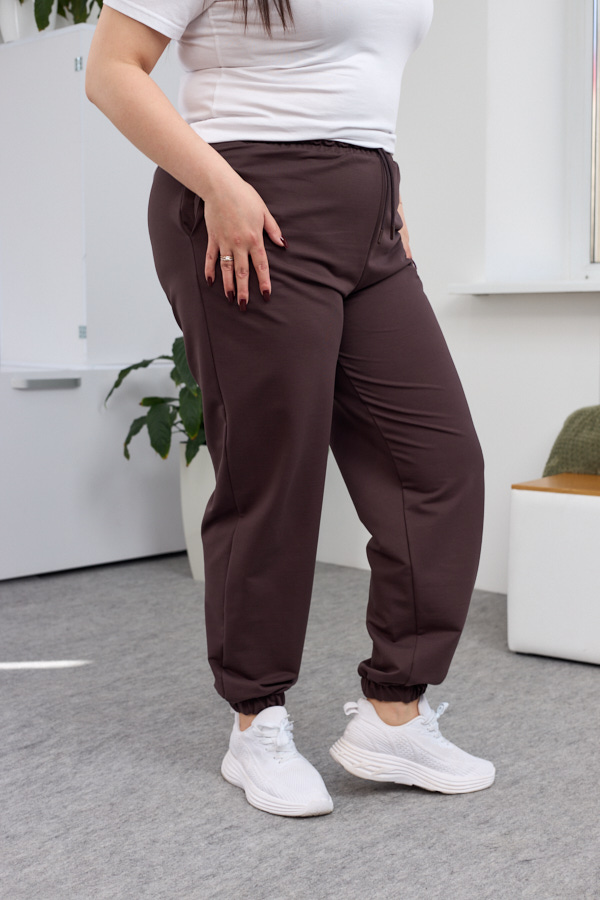 Штани 26.2730 б Трикотаж двухнитка, колір Темний шоколад, 48(XL), 50(ХХL), 52(3XL)
